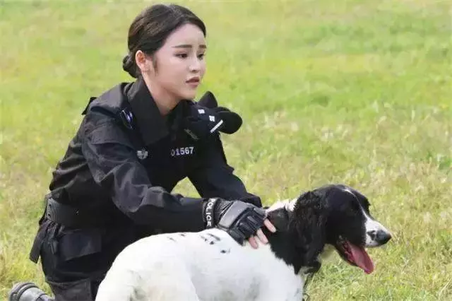 警犬早起出發執行任務,忍不住打了個大哈欠,隔壁警犬默默偷笑