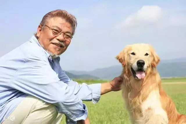 愛犬27歲仍未變老,鏟屎官學會這五點妙招,讓寵物陪伴自己更久