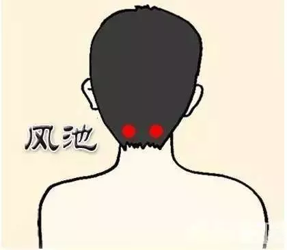記住10大養生要穴,各類疾病就都會自己調養了