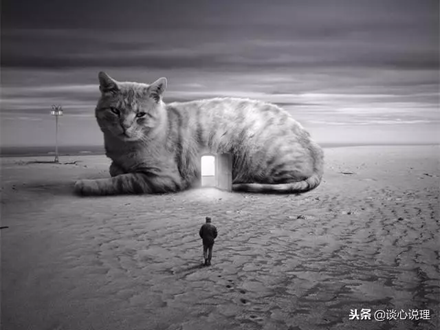心理測試:第一眼看到什麼,測試你的內心隱藏了多少人格?