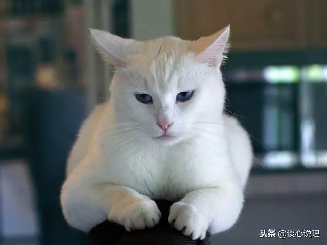 心理測試:第一眼看到什麼,測試你的內心隱藏了多少人格?