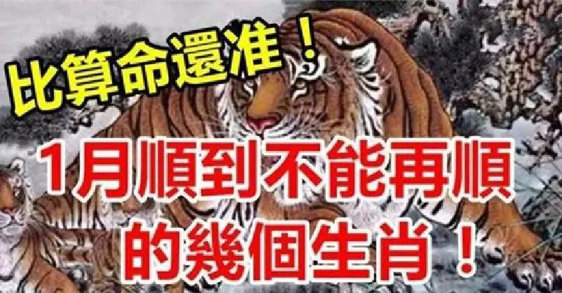 比算命還准!一月份開始順到不能再順的幾個生肖