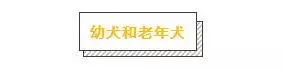 各品種狗狗運動量詳解,你遛對了嗎