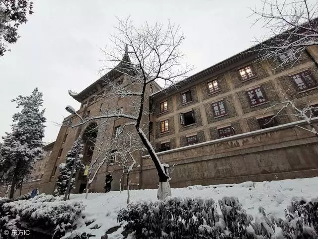 媳婦生下雙胞胎,岳母給兩萬,偏心繼母送布袋子,打開癱坐在地