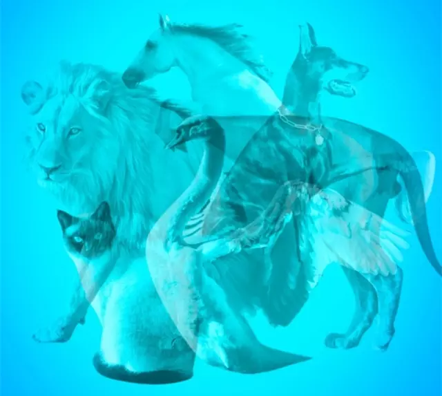 心理測試:第一眼看到什麼動物,測試你潛意識下的心理狀態?