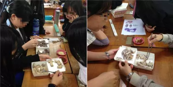 生物學老師「課堂上拿出11樣黑白切」教學生 大家驚呼:我一直吃的是子宮