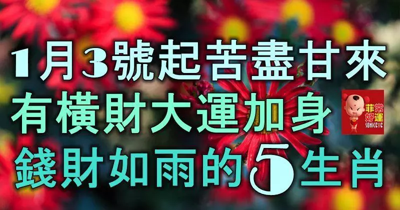 1月3號起,苦盡甘來,有橫財大運加身,錢財如雨的5大生肖!