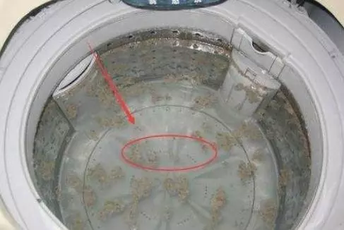 洗衣機只用不洗,比衣服更髒,跟老保姆學一招,清潔洗衣機不費勁
