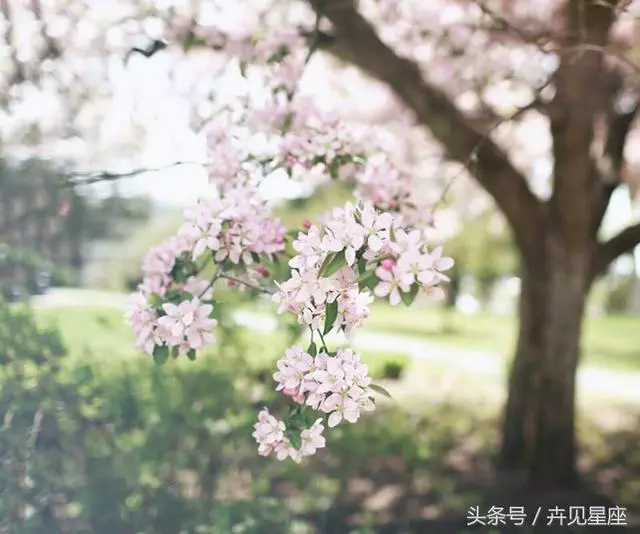 1月3號過後,最容易一夜暴富的生肖排行,快看有沒有你?