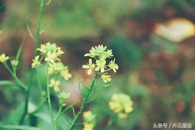 1月3號過後,最容易一夜暴富的生肖排行,快看有沒有你?