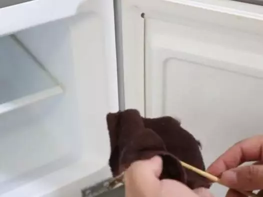 教你不用一滴水,一年沒清理的冰箱,立馬煥然一新,快告訴家裡人