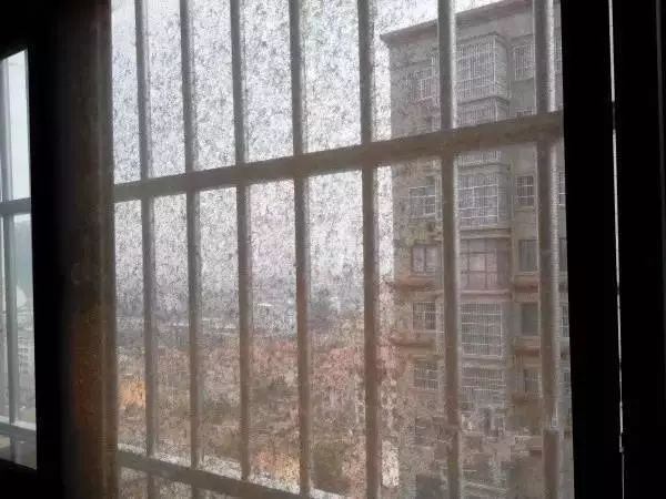 紗窗用了一整年灰塵太厚風都吹不進來?教你一個小絕招,不用拆下來也能洗乾淨!
