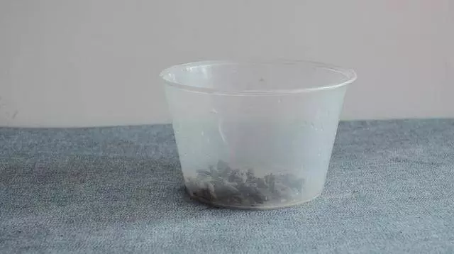 圓形打包盒蓋子上戳幾個洞 放冰箱裡太實用了 看到的人都誇好