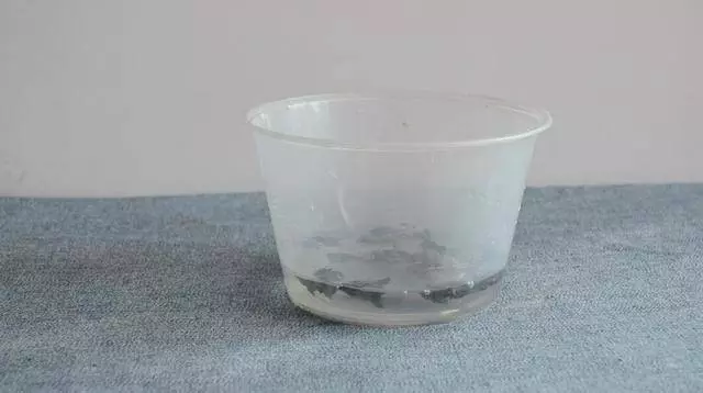 圓形打包盒蓋子上戳幾個洞 放冰箱裡太實用了 看到的人都誇好