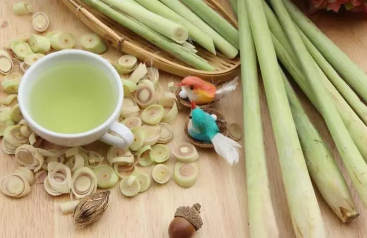 「檸檬香茅茶」很厲害!對人體有7大好處,降膽固醇、排毒、緩解關節疼痛,比吃保健品還強