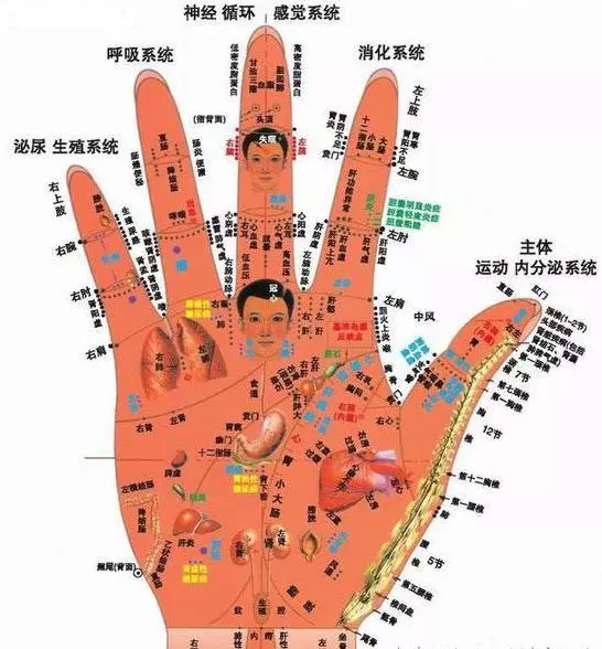 花不到五塊錢就能治你的白髮,用它洗頭,白髮慢慢變黑(為自己未來及家中長者收藏吧!)