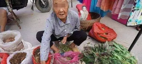 女孩幫助賣菜奶奶,每次都多給零錢,直到奶奶坐上豪車,女孩笑了
