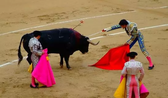 「鬥牛士」的醒悟:我不想傷害你,儘管我已被你所傷