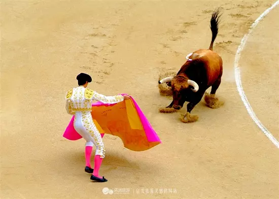 「鬥牛士」的醒悟:我不想傷害你,儘管我已被你所傷