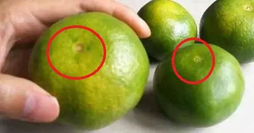 橘子還分公母?母橘子才更好吃!果農教你3個小竅門,一挑一個準