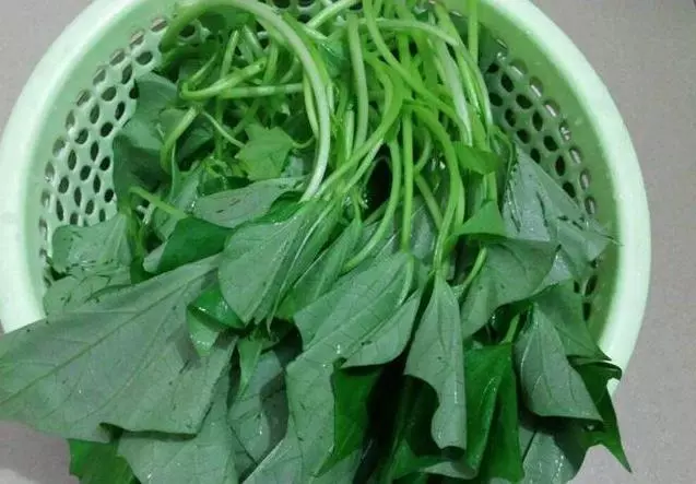 清炒番薯葉,不發黃不發黑,翠綠入味特別好吃,原來飯店大廚都是這麼做的!