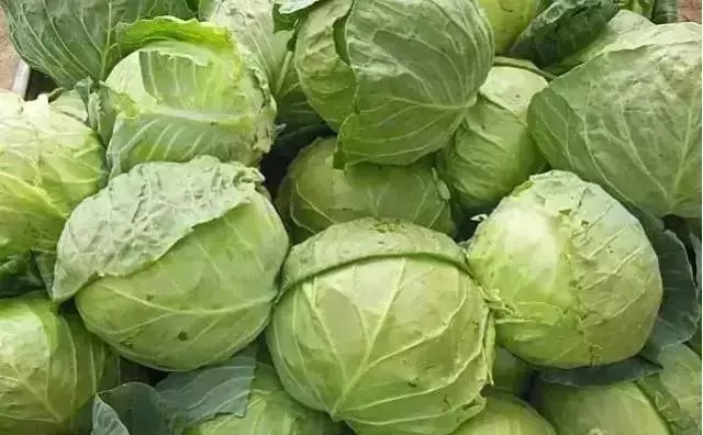 血管洗個澡,健康活到老!每天"洗"1次,現在知道還不晚!