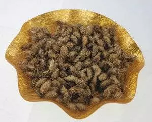 被鼻炎折磨了 39 年,原來蒼耳子才是鼻炎的剋星,輕鬆搞定!