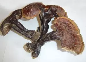 糖尿病別慌!巧用筷子揉揉手,通便排毒、降血糖!好處多多