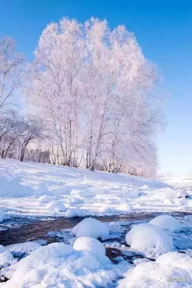 2019國內最美旅行時間表出爐,每年至少要去一個從沒去過的地方!