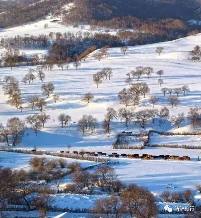 2019國內最美旅行時間表出爐,每年至少要去一個從沒去過的地方!