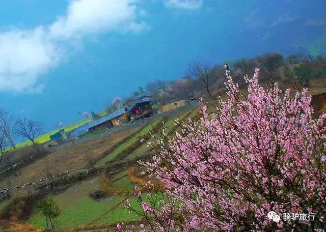 2019國內最美旅行時間表出爐,每年至少要去一個從沒去過的地方!