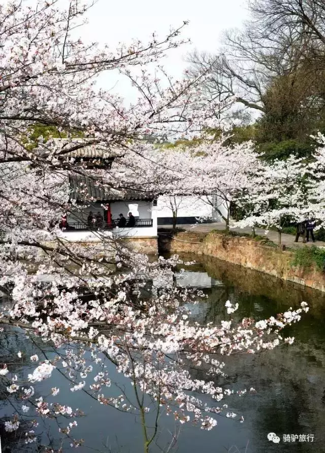 2019國內最美旅行時間表出爐,每年至少要去一個從沒去過的地方!