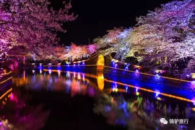 2019國內最美旅行時間表出爐,每年至少要去一個從沒去過的地方!