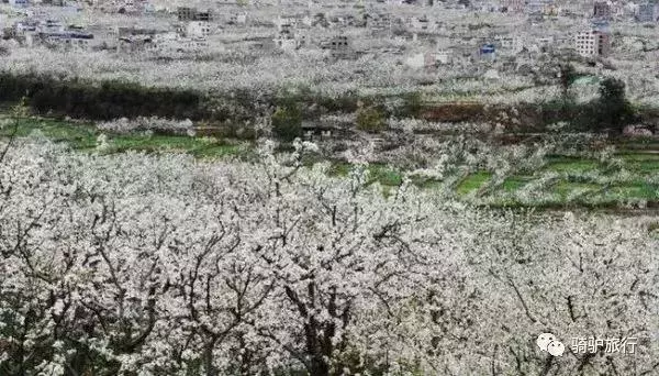 2019國內最美旅行時間表出爐,每年至少要去一個從沒去過的地方!