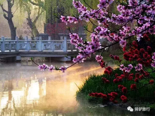 2019國內最美旅行時間表出爐,每年至少要去一個從沒去過的地方!