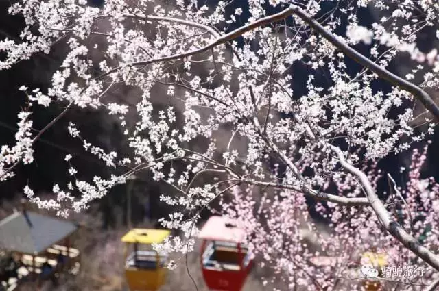 2019國內最美旅行時間表出爐,每年至少要去一個從沒去過的地方!