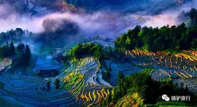 2019國內最美旅行時間表出爐,每年至少要去一個從沒去過的地方!