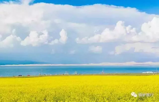 2019國內最美旅行時間表出爐,每年至少要去一個從沒去過的地方!