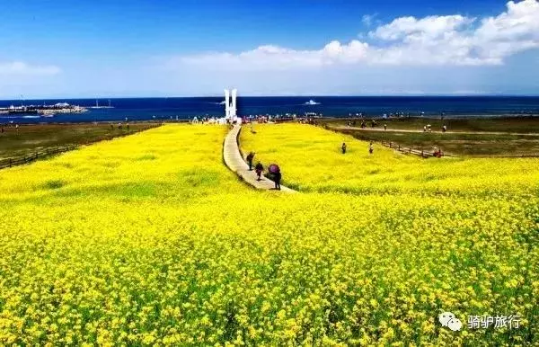 2019國內最美旅行時間表出爐,每年至少要去一個從沒去過的地方!