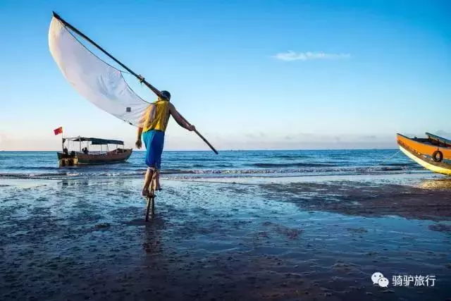 2019國內最美旅行時間表出爐,每年至少要去一個從沒去過的地方!