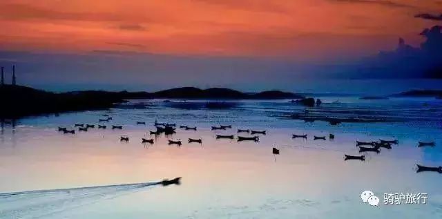 2019國內最美旅行時間表出爐,每年至少要去一個從沒去過的地方!
