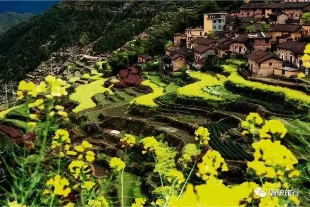 2019國內最美旅行時間表出爐,每年至少要去一個從沒去過的地方!