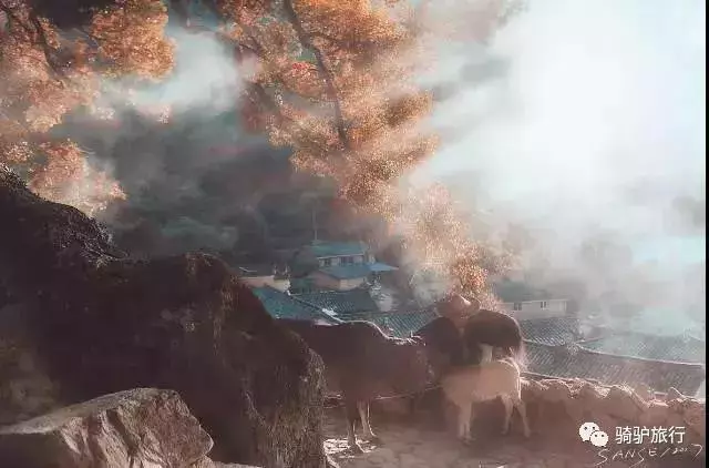 2019國內最美旅行時間表出爐,每年至少要去一個從沒去過的地方!