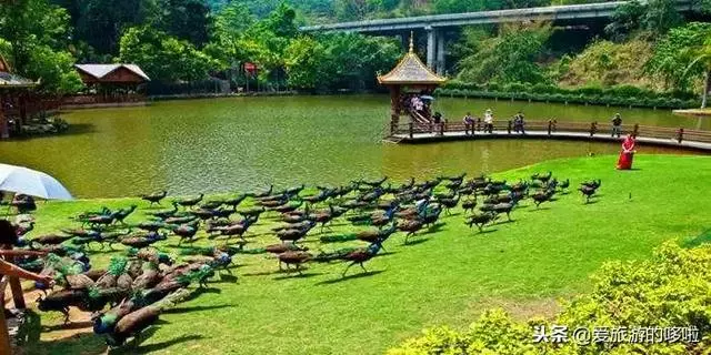1月最佳旅行地,用一場旅行開啟2019!