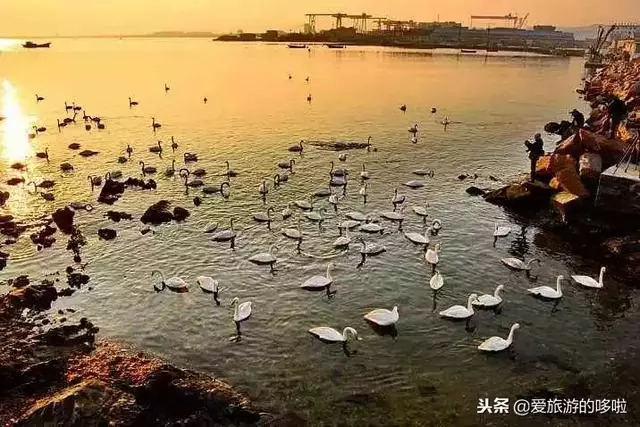 1月最佳旅行地,用一場旅行開啟2019!