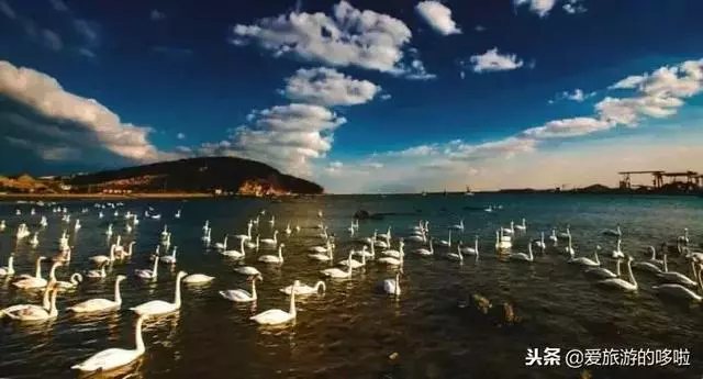 1月最佳旅行地,用一場旅行開啟2019!