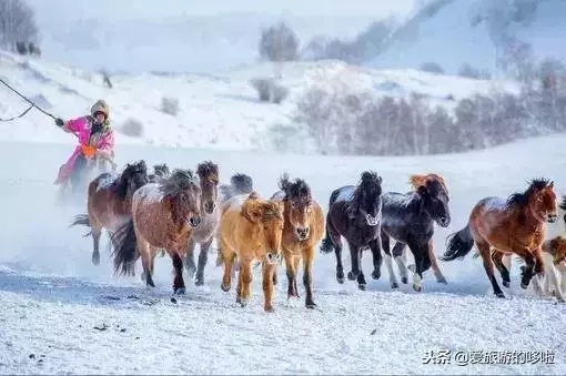 1月最佳旅行地,用一場旅行開啟2019!