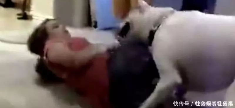 男友出差,女友遭巨型犬強行壓倒,接下來發生悲劇的一幕!