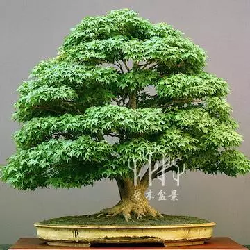 抄襲?抄襲!大師們也是抄襲的,有圖有真相