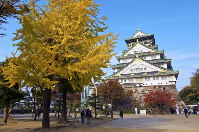 日本1月7日起 徵收1000日圓離境稅
